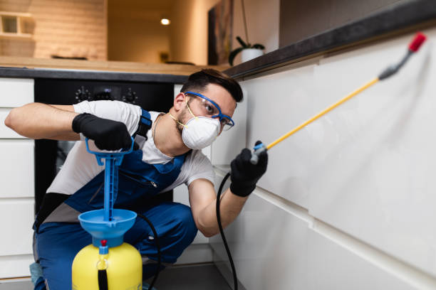 Wasp Removal Services in Agua Fria, NM