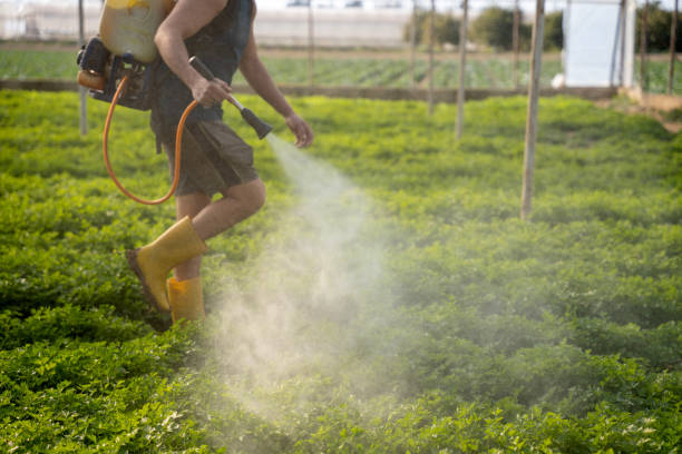 Best Pest Control Near Me  in Agua Fria, NM