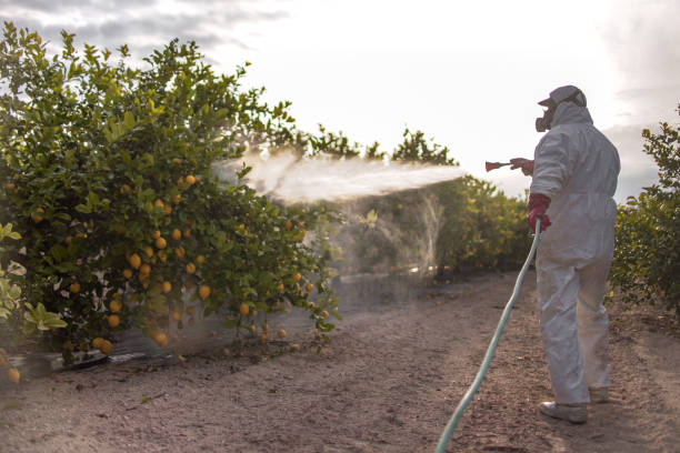 Wildlife Control Services in Agua Fria, NM