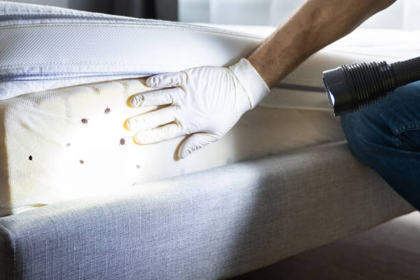Best Pest Inspection Near Me  in Agua Fria, NM