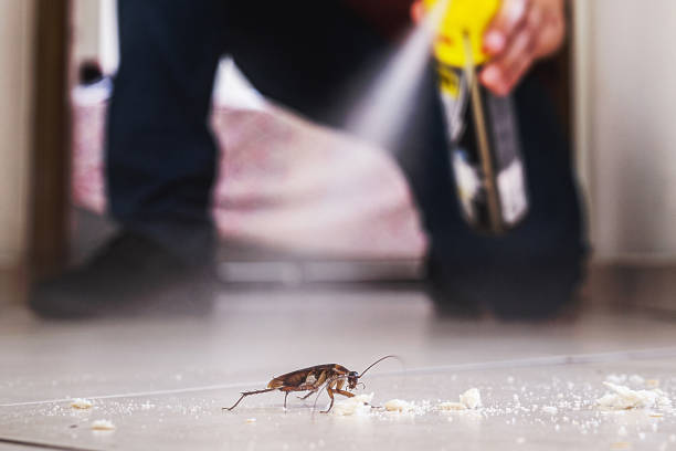 Best Wildlife Control Services  in Agua Fria, NM