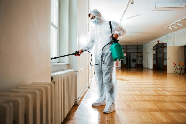 Trusted Agua Fria, NM Pest Control Experts