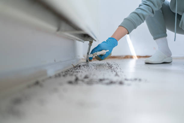 Reliable Agua Fria, NM Pest Control Solutions